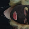 lilly_bug12307